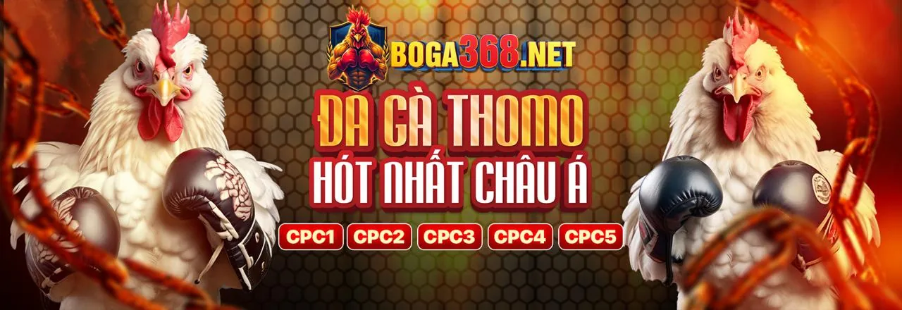 Sân đá gà trực tuyến chuyên nghiệp tại vn 123