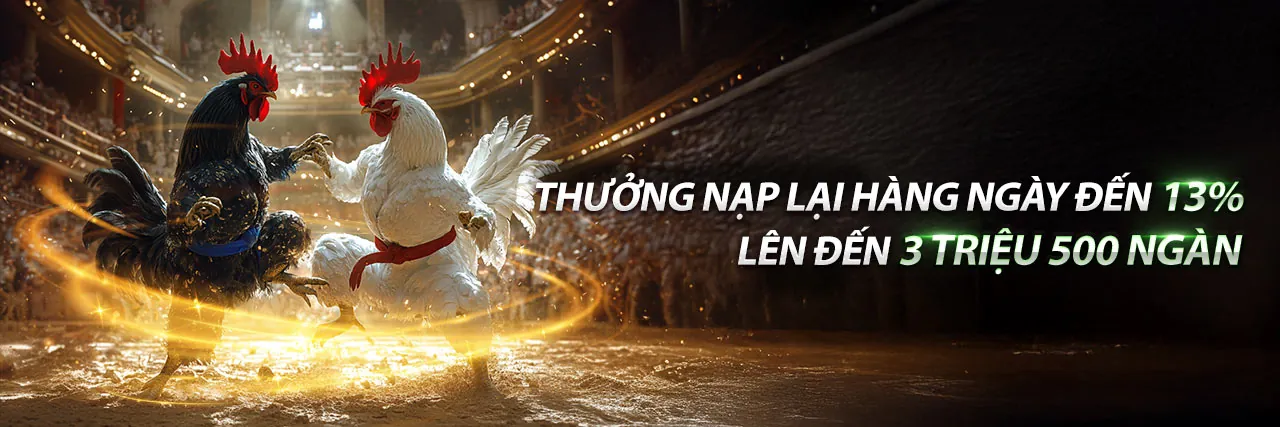 Lợi ích vượt trội khi tham gia vn 123