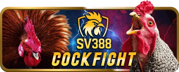 Khuyến Mãi Đặc Biệt Theo Sự Kiện tại vn 123